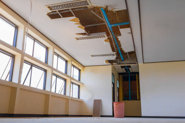 Best Professional water damage repair  in Anacoco, LA
