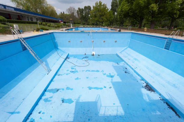 Best Professional water damage repair  in Anacoco, LA