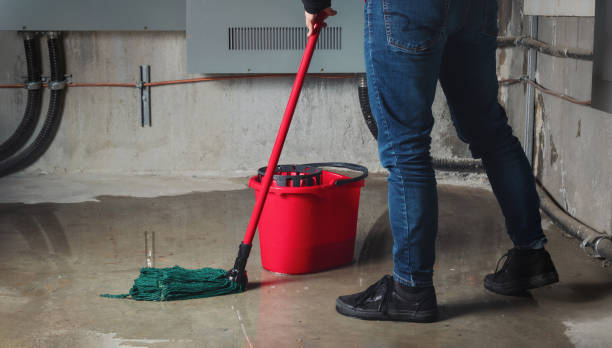 Best Water damage contractors near me  in Anacoco, LA
