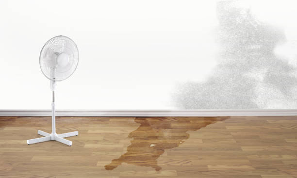 Best Fire Damage Restoration  in Anacoco, LA