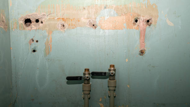Best Water damage restoration near me  in Anacoco, LA