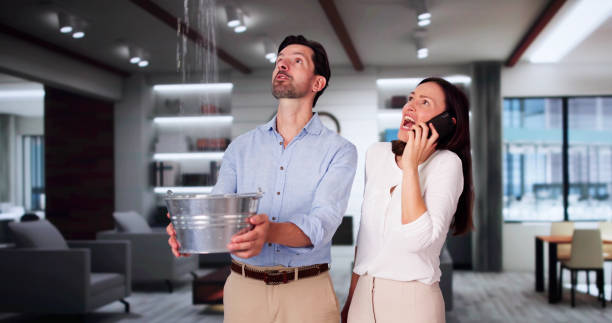 Best Flooded house restoration  in Anacoco, LA